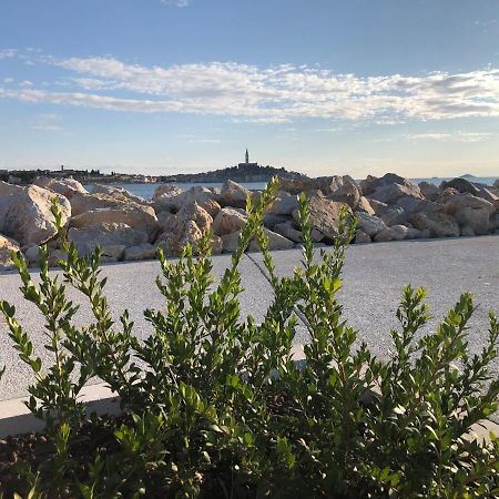 Total Escape Mobile Home Nera Camp Porton Biondi Rovinj Ngoại thất bức ảnh